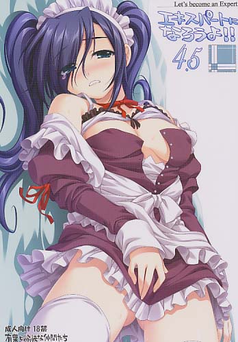 エキスパートになろうよ!! 4.5