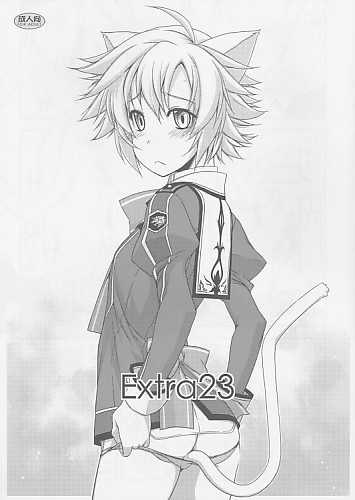 Extra 23