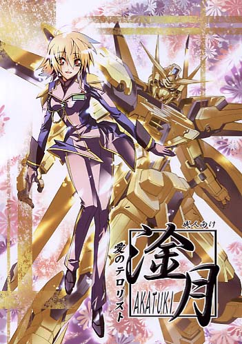 淦月