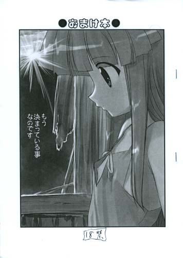 おまけ本