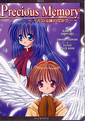 Precious Memory ～一片の奇跡のなかで…～