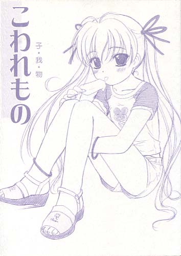 こわれもの