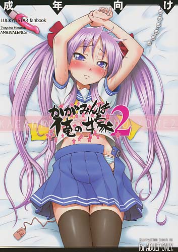 かがみんは俺の嫁 2