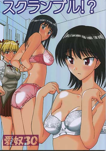 愛奴30 スクランブル!?