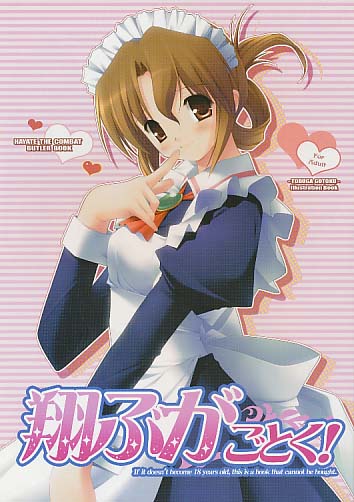 翔ぶがごとく!