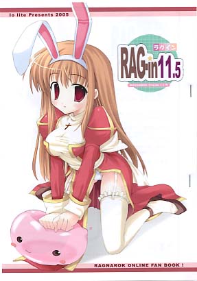 RAG-in 11.5