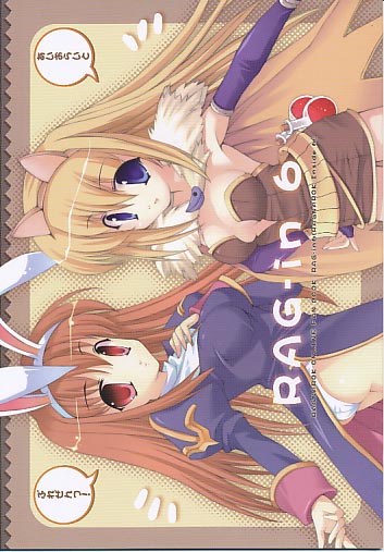 RAG-in 6