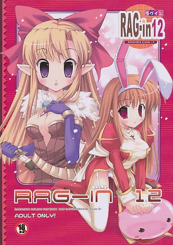 RAG-in 12