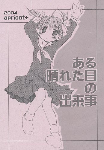 ある晴れた日の出来事