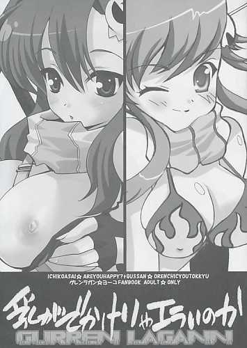 乳がでかけりゃエラいのか