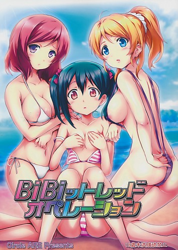 BiBiットレッドオペレーション