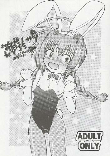 こすヴィータ ～バニー編～