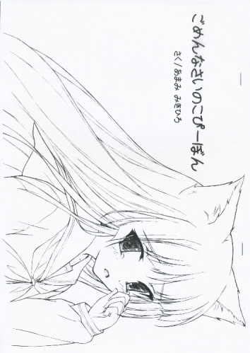 ごめんなさいのこぴーぼん