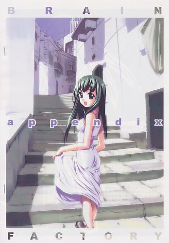 BRAINFACTORY appendix