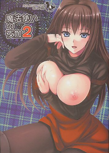 魔法使いの夜伽2