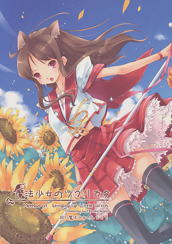魔法少女のツクリカタ