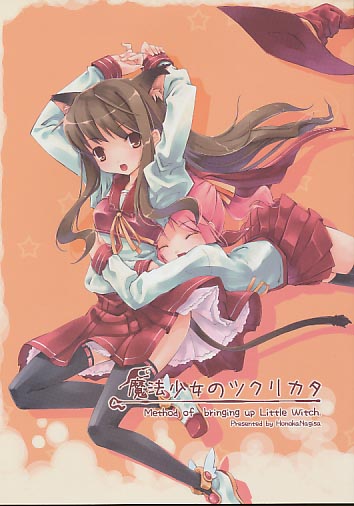 魔法少女のツクリカタ