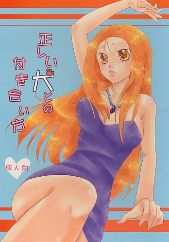 正しい犬との付き合い方