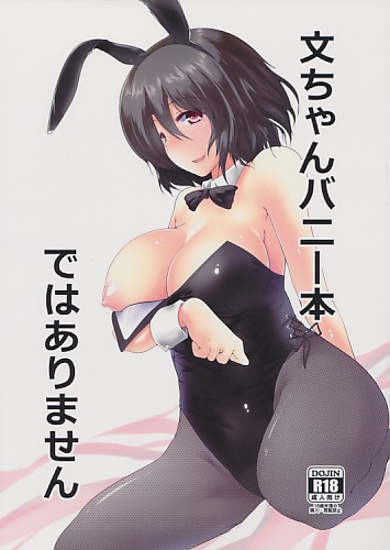 文ちゃんバニー本ではありません