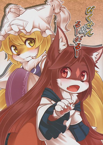 びくせん&るーがるー