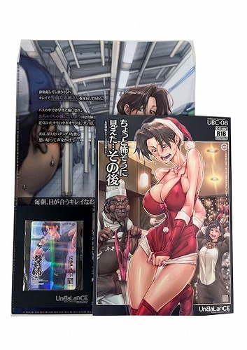 コミケ106・3点セット(トレカ+クリアファイルバッグ+ちょっと怖そうに見えた…その後)