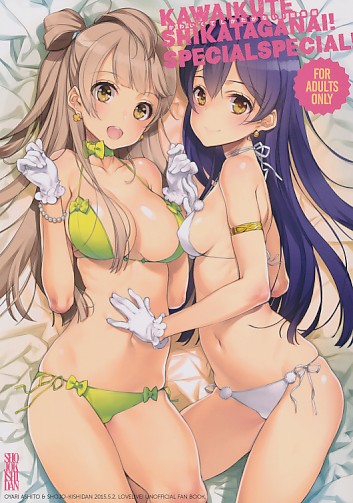 かわいくてしかたがない! 総集編 KAWAIKUTE SHIKATAGANAI! SPECIALSPECIAL!