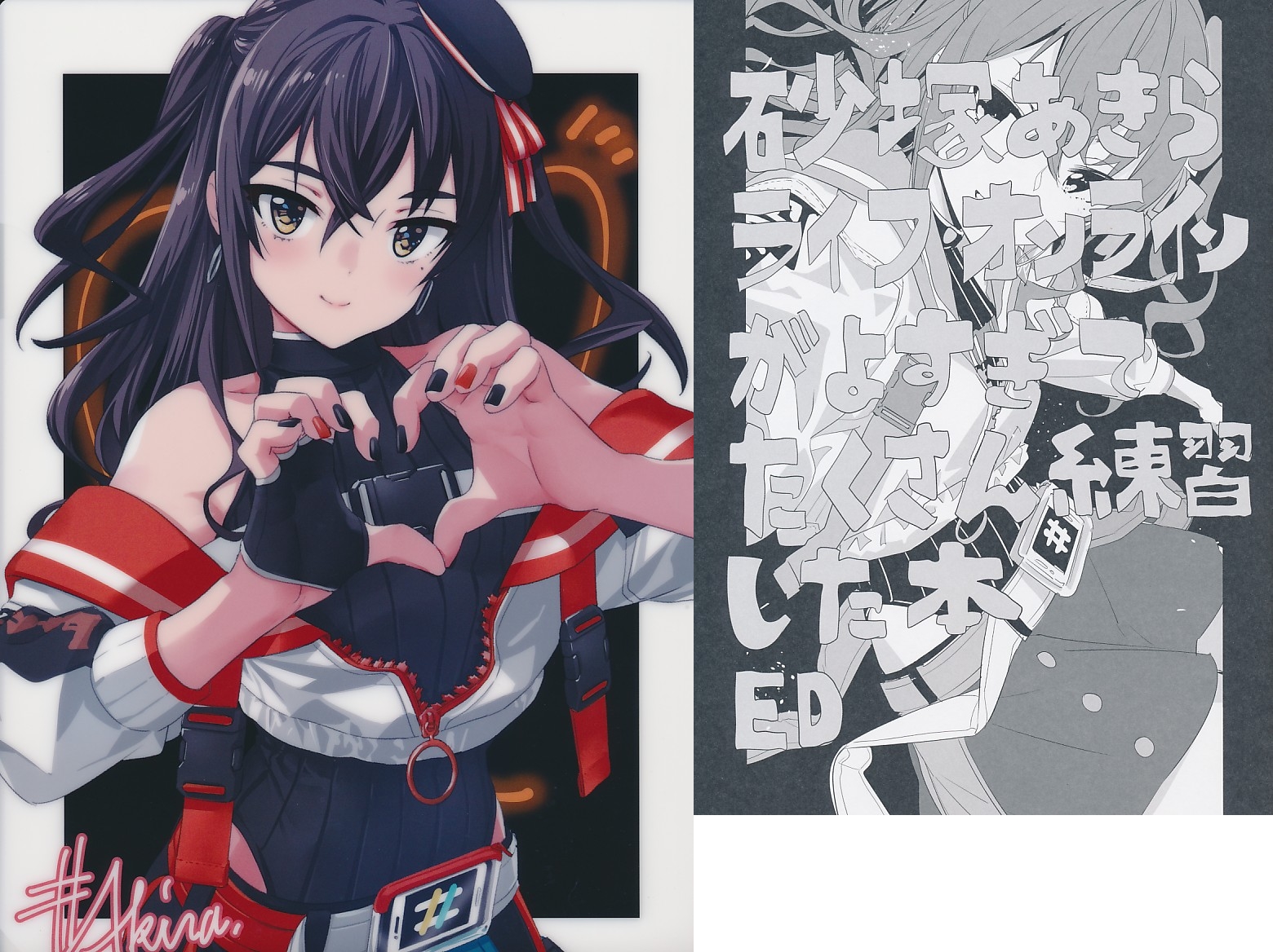 Ａ4クリアファイル付）砂塚あきらライフ・オンラインがよすぎてたくさん練習した本