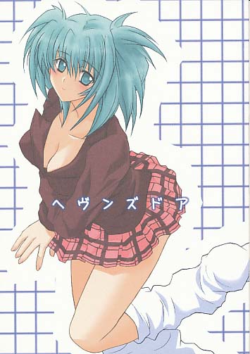 ヘヴンズドア