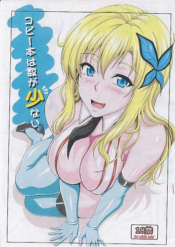 コピー本は数が少ない