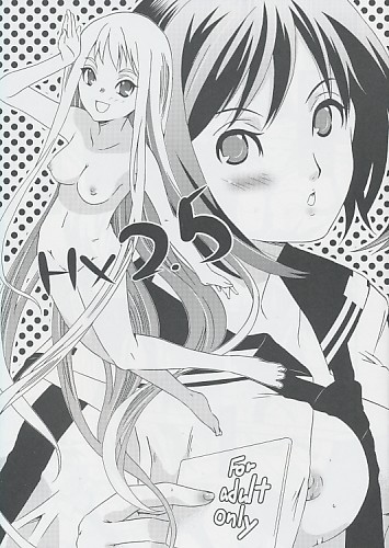 H×2.5