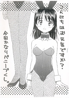 こんにちはお元気ですか?今回かなりバニーづくし。