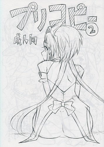 プリコピー2
