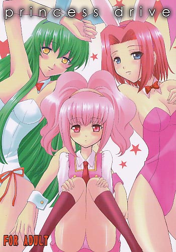 princess drive