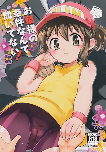 お姫様の条件なんて聞いてない！