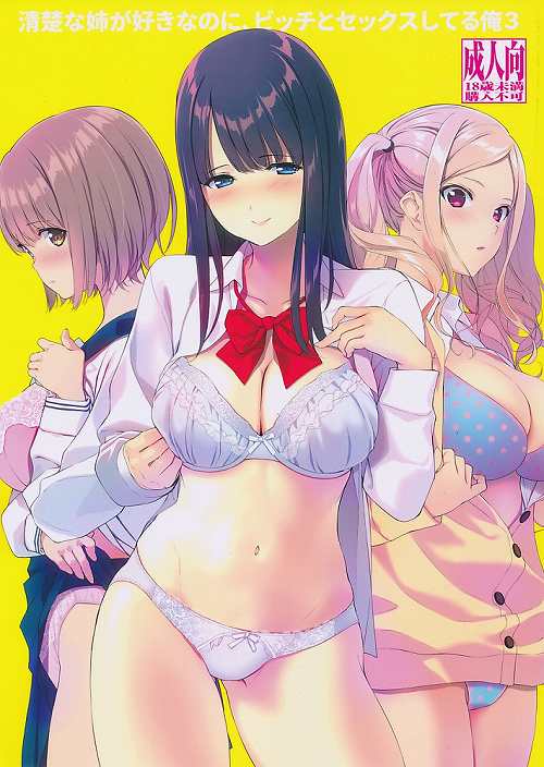 清楚な姉が好きなのにビッチとセックスしてる俺3