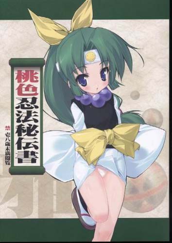 桃色忍法秘伝書