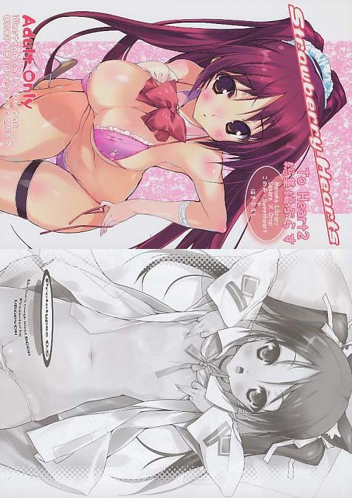 コミケ76 2点セット( Strawberry Hearts ToHEART2総集編ぷらす+Prototype0.5 )