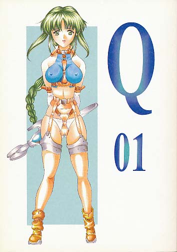 Q 01
