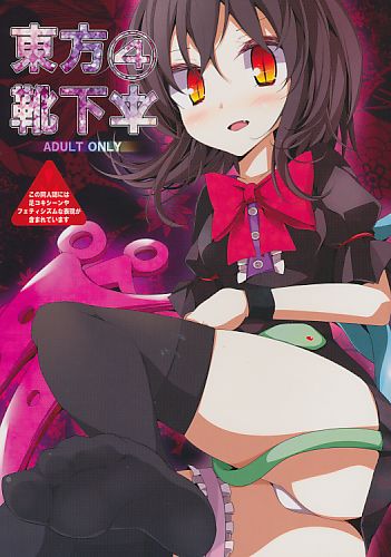 東方靴下本 4