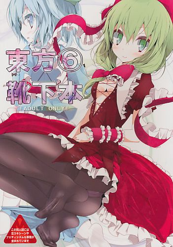 東方靴下本 6