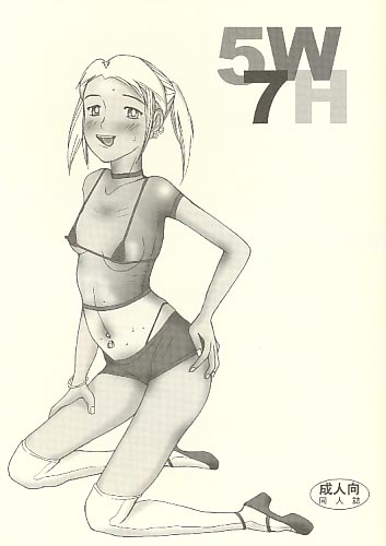 5W7H