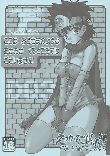 ここは おうさまのようなおかたが くるところではございません!