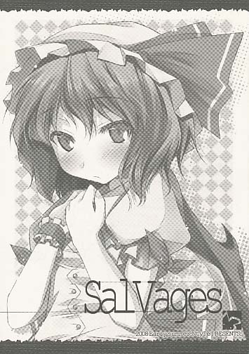 SalVages