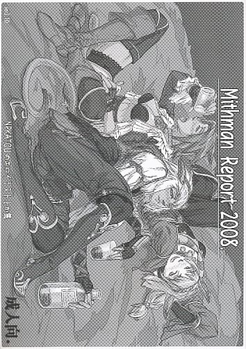 Mithman Report 2008