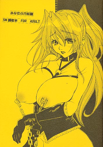 あなたの穴奴隷 SM調教本