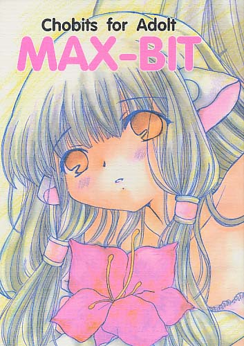 MAX-BIT