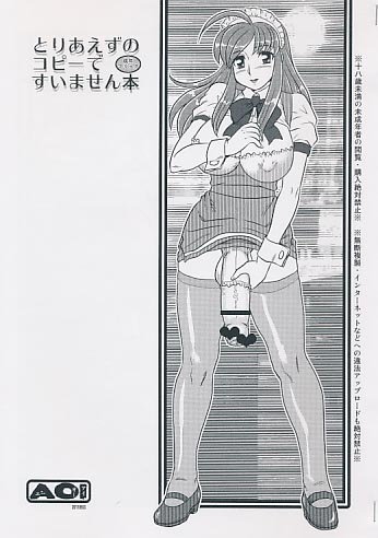 とりあえずのコピーですいません本