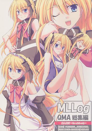 MLLog QMA総集編