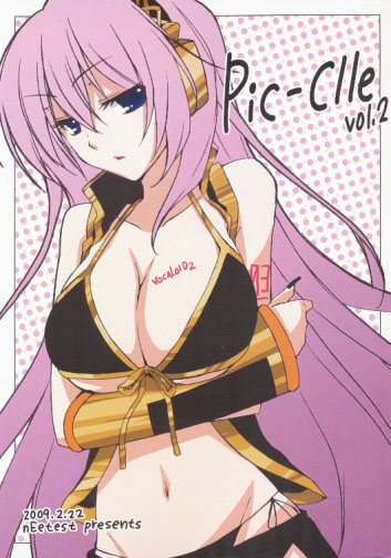 Pic-Clle vol.2