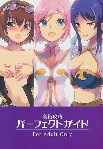 全員攻略パーフェクトガイド